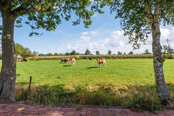 Medium property photo - De Holm 15I, 9356 VA Tolbert